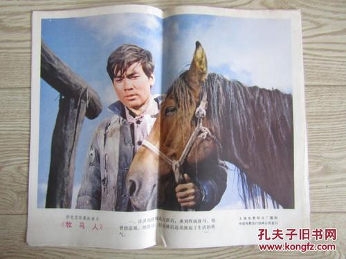 Madison建筑学文凭证书
